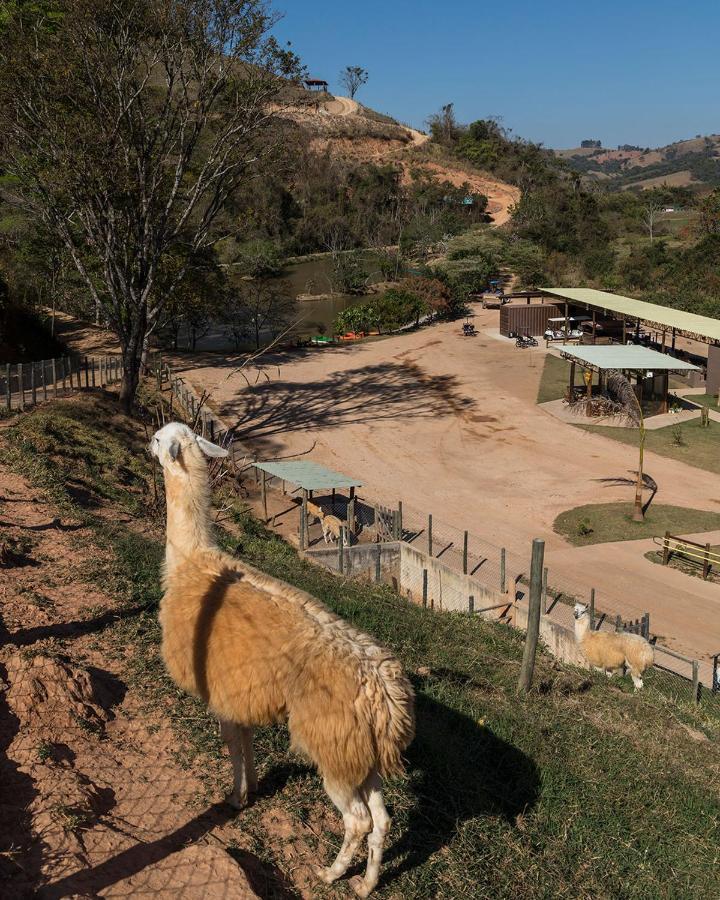 Fazenda Terra Dos Sonhos *